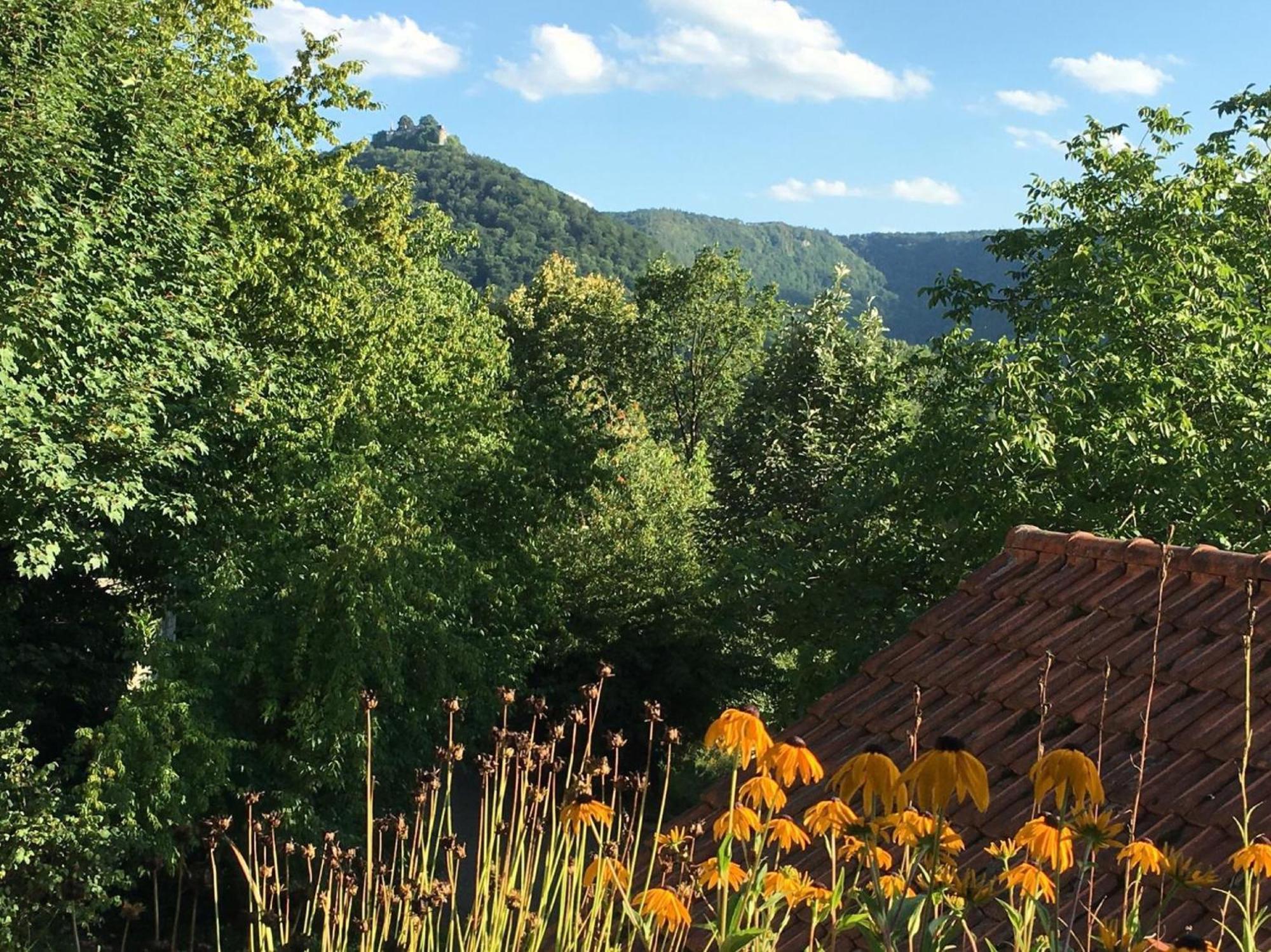 Apartament Haus Am Sonnenhuegel Bad Urach Zewnętrze zdjęcie